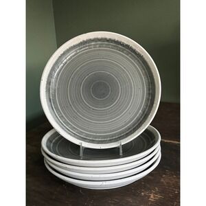 Five Baum Hearth Gray Stoneware Salad Plates Speckled Reactive Glaze Farmhouse